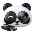 Panda Cam (Apple CarPlay)
