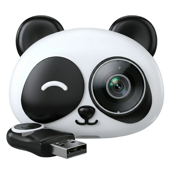 Panda Cam (Apple CarPlay)